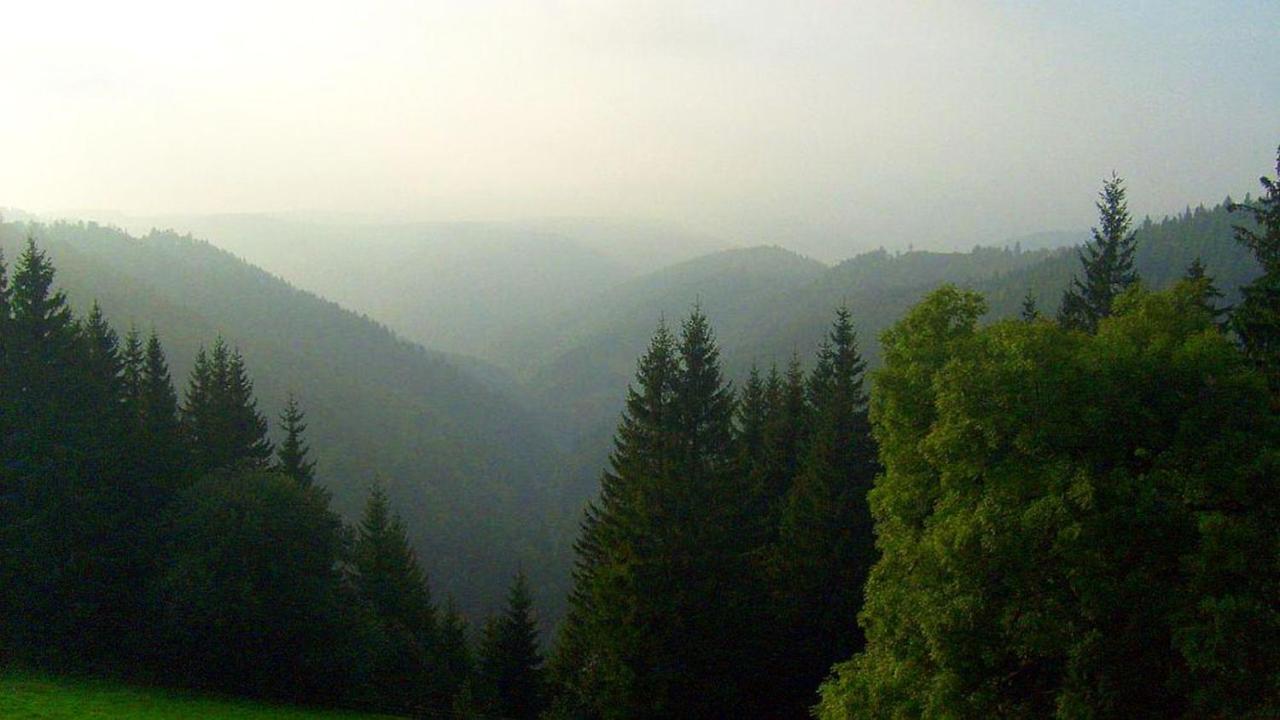 Hotel Schwarzwaldgasthaus Linde Schramberg Esterno foto