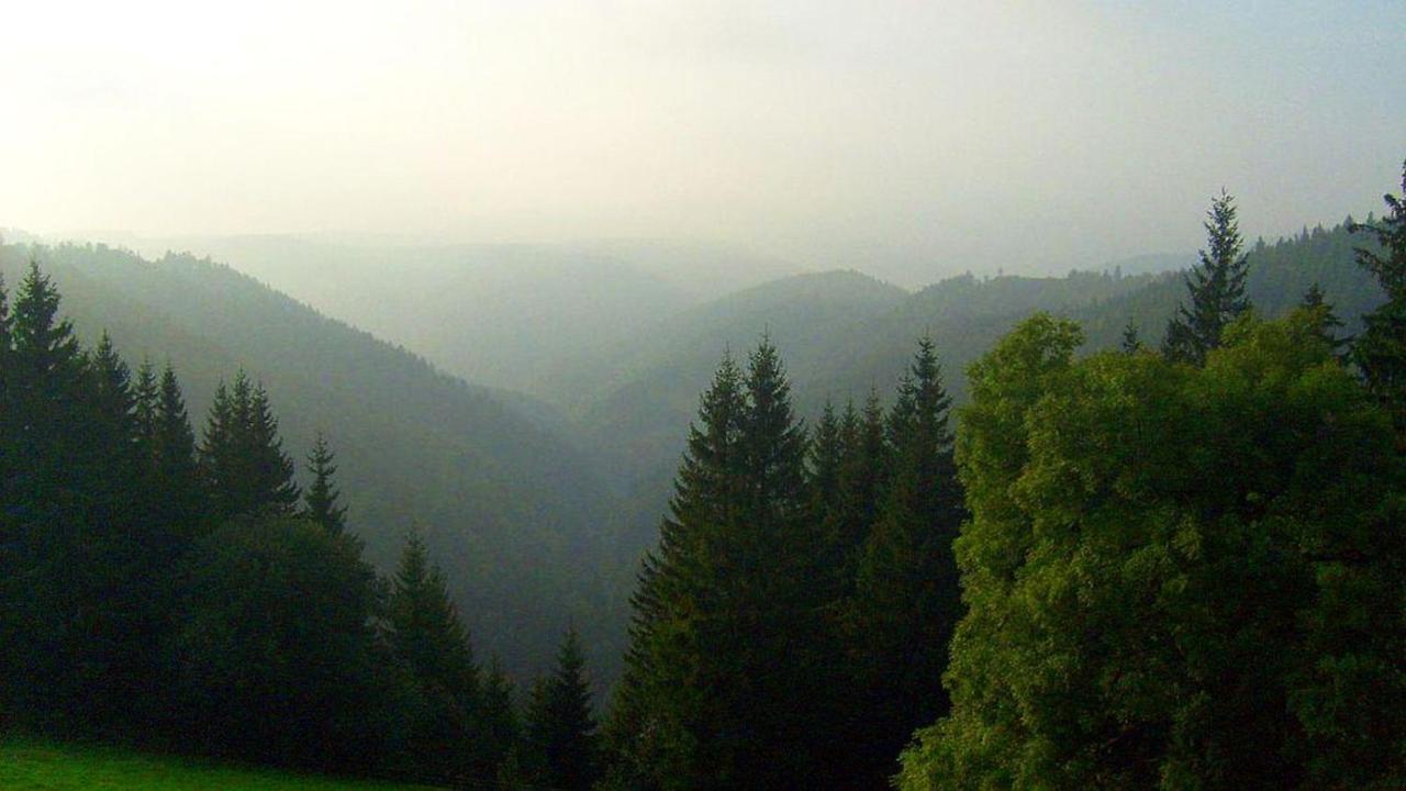 Schwarzwaldgasthaus Linde Schramberg Esterno foto