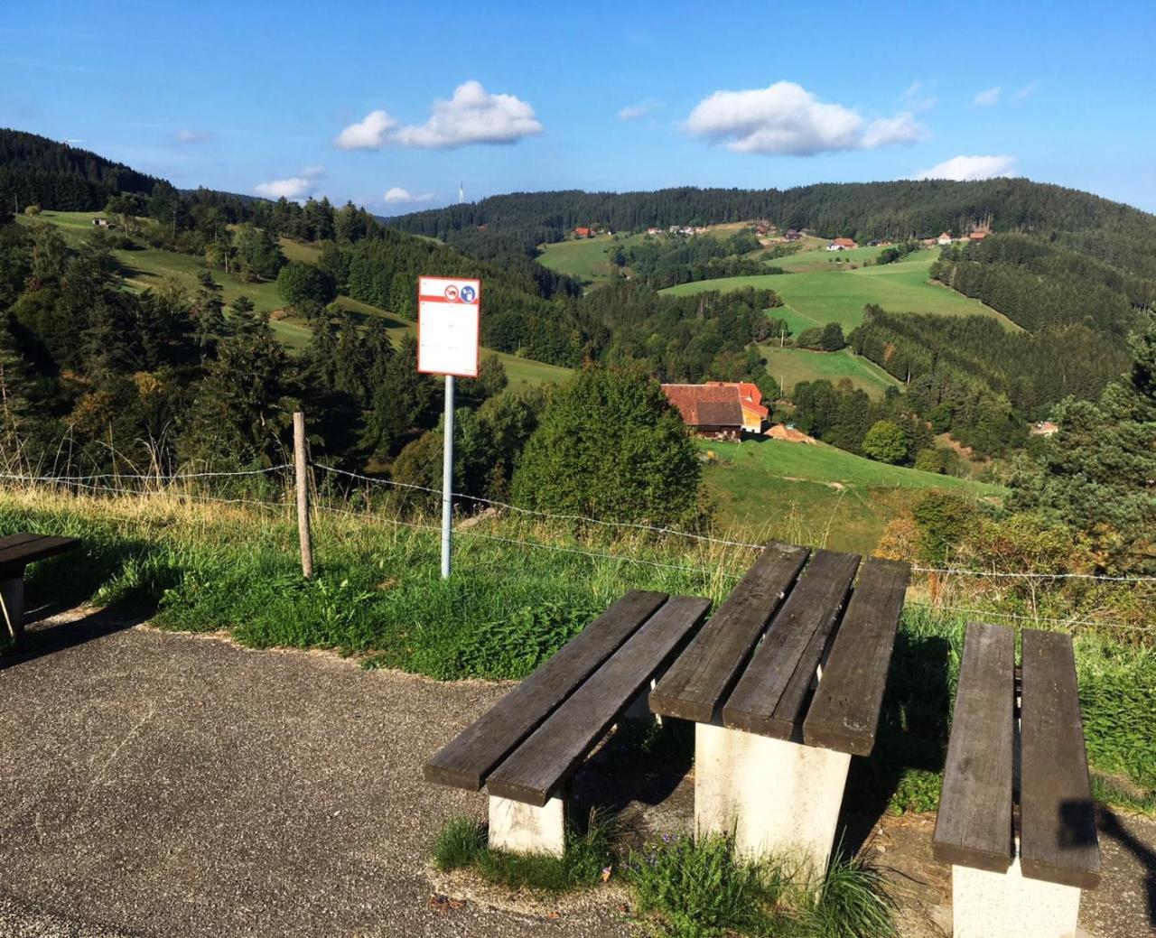 Hotel Schwarzwaldgasthaus Linde Schramberg Esterno foto