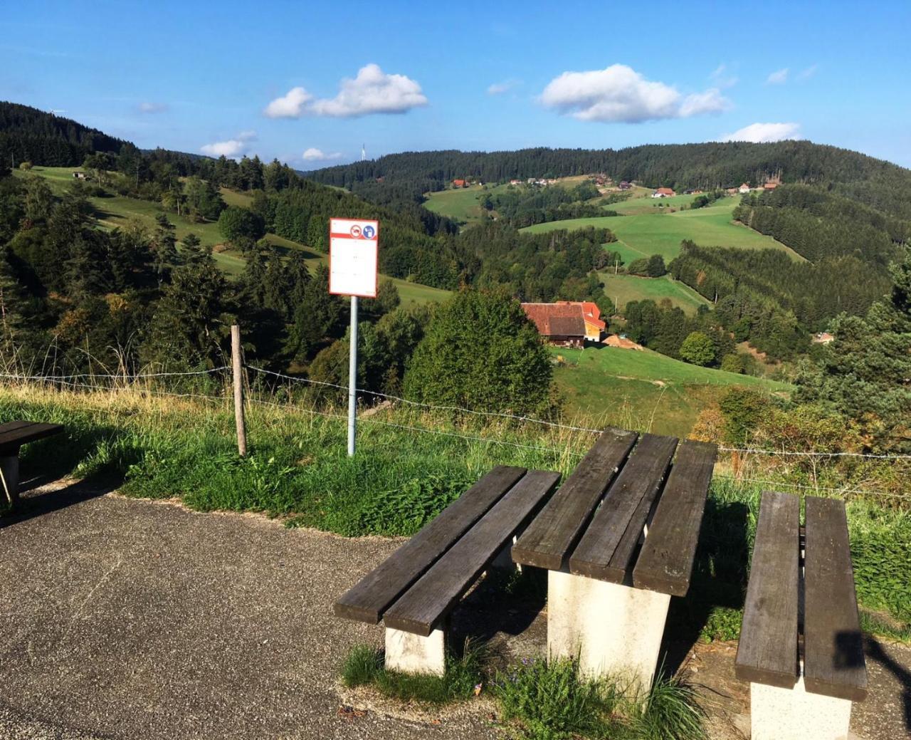 Schwarzwaldgasthaus Linde Schramberg Esterno foto